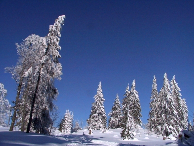 Wintermärchen für Naturliebhaber