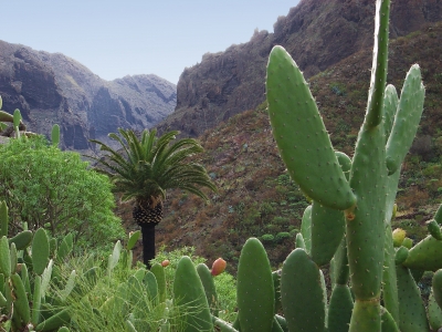 Wandern auf Teneriffa