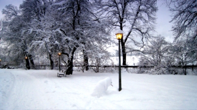 Kurpark im Winter