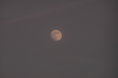 Mond2