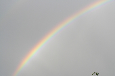 Regenbogen