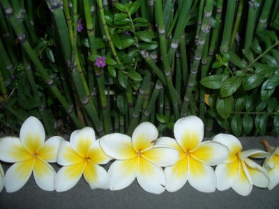 Blumenschmuck aus Bali