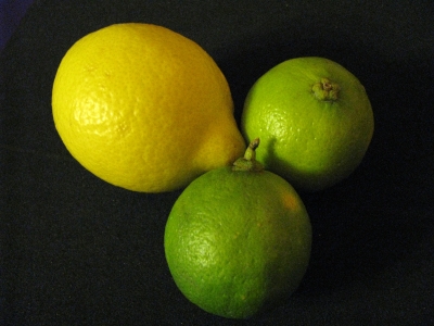 Zitrone und Limetten