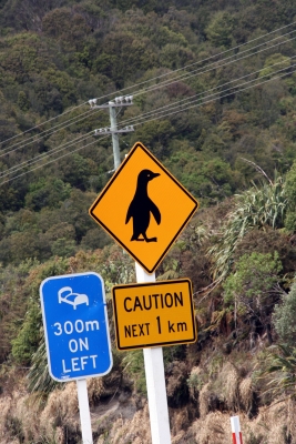 Vorsicht Pinguine