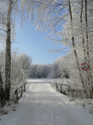 Winter1
