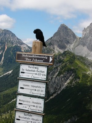 Am Dachstein 8