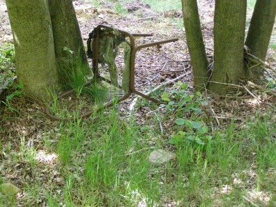 Ein einsamer Stuhl im Wald