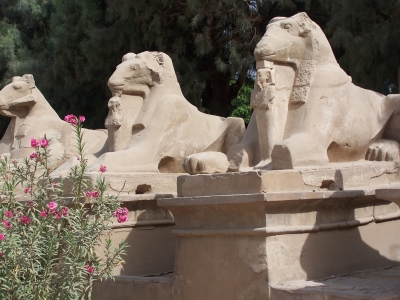 Karnak-Tempel Luxor Ägypten /Sphinx