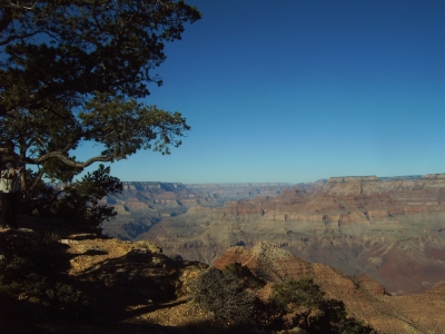 Ein fantastischer Blick in das Grand Canyon