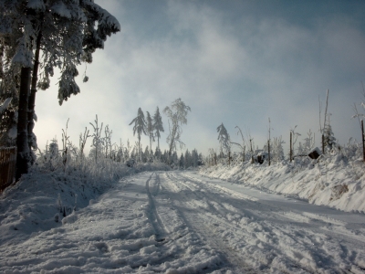 Winterlandschaft