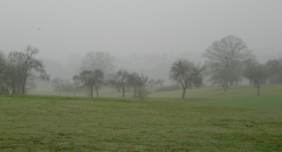 Dezembernebel im Obstauenland