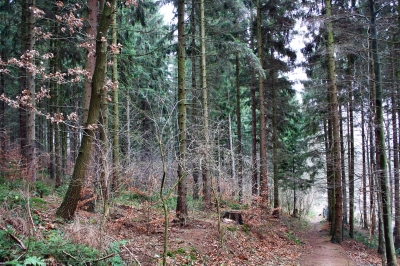 Pfad zur Siedlung