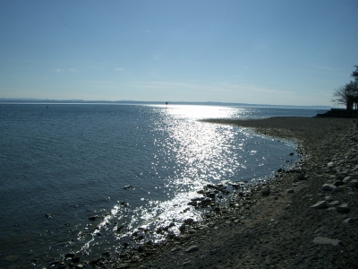 Bodensee im Sommer