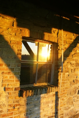 Spiegelung im Fenster