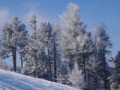 Winterlandschaft