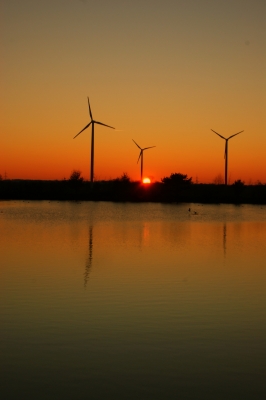 Windmühlen in der Abendsonne