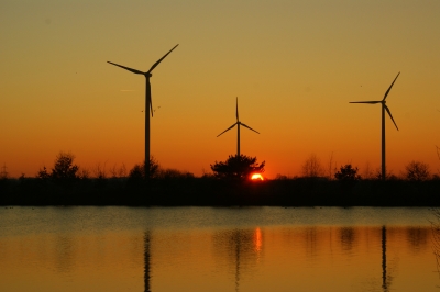 Vogelschutzgebiet