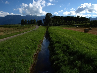 Gerader Bachlauf