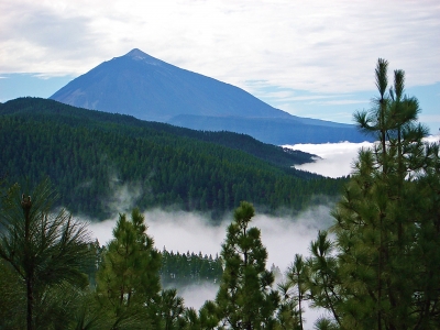 Der Teide über den Wolken