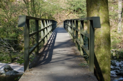 Brücke Schwarzwald