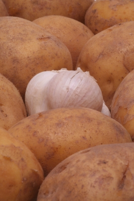 Kartoffeln mit fremdem Gemüse