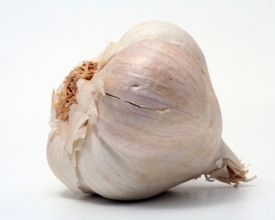 Knoblauch