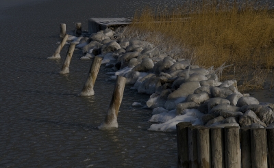 Winter in Podersdorf