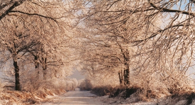 winter 1