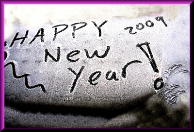 "HAPPY NEW YEAR 2009 !"