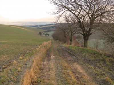 Feldweg 5