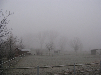 Pferdekoppel im Nebel 1