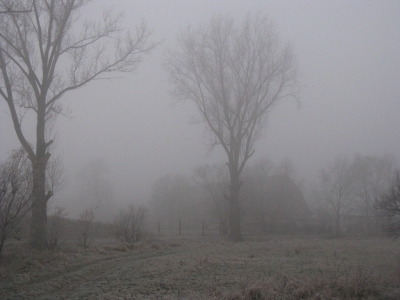 Feldweg im Nebel 1