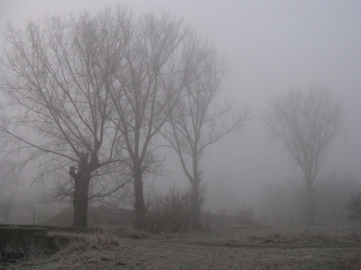 Feldweg im Nebel 2