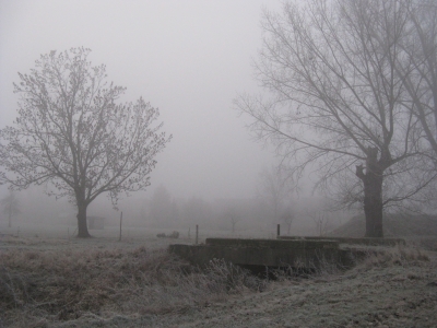 Feldweg im Nebel 3
