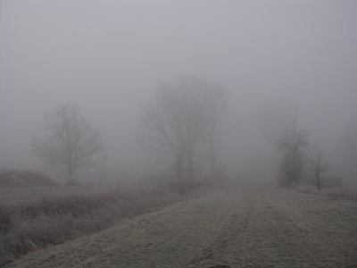 Feldweg im Nebel 6