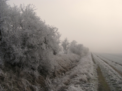 Winter und Raureif 25