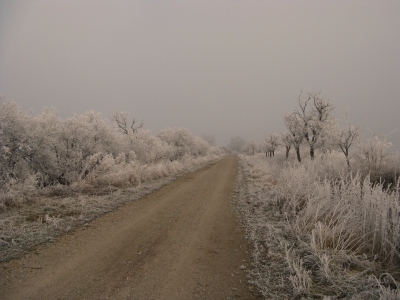 Winter und Raureif 27