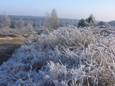 Es ist kalt in der Heide!