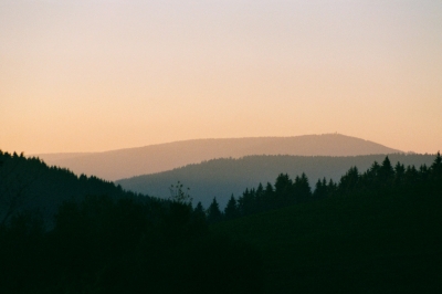 Schwarzwaldprofil in der Morgenröte