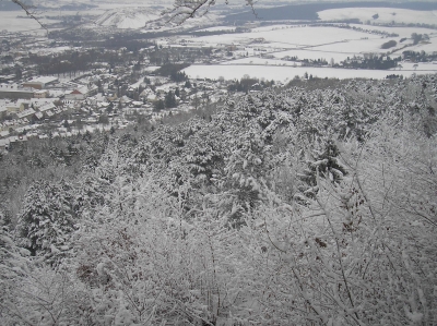 Winterlandschaft