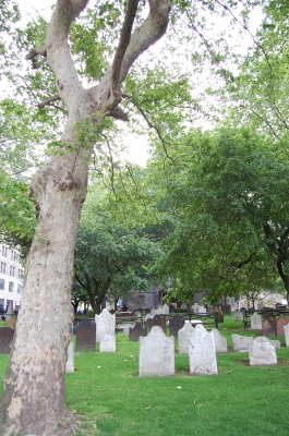 Friedhof in Manhattan 1