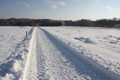 verschneiter Feldweg