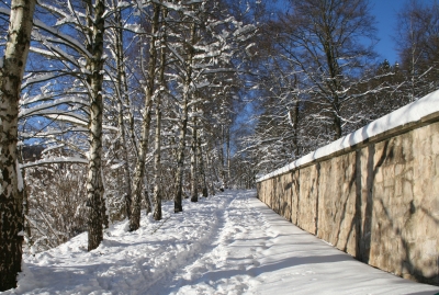 Verschneiter Weg