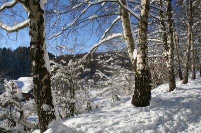 Verschneite Landschaft