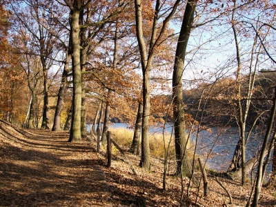 An der Krummen Lanke 1