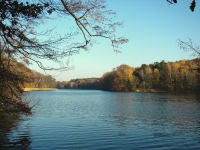 An der Krummen Lanke 3