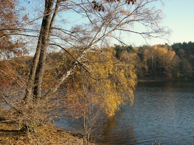 An der Krummen Lanke 2