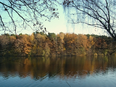 An der Krummen Lanke 4