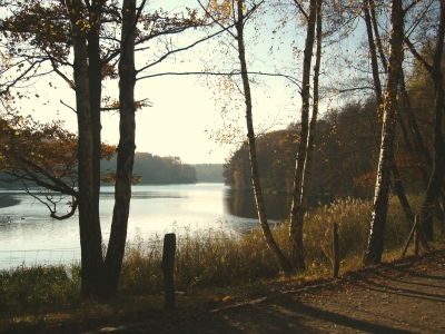 An der Krummen Lanke 6