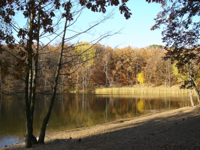 An der Krummen Lanke 5